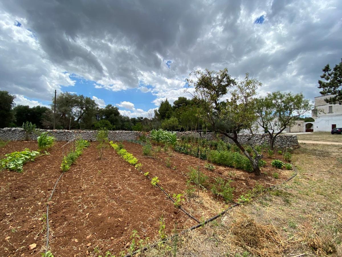 Masseria Cervellera Daire Ceglie Messapica Dış mekan fotoğraf